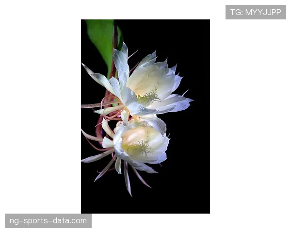 本泽马爆发是否昙花一现:状态可持续性分析 本泽马爆发是否昙花一现:状态可持续性分析