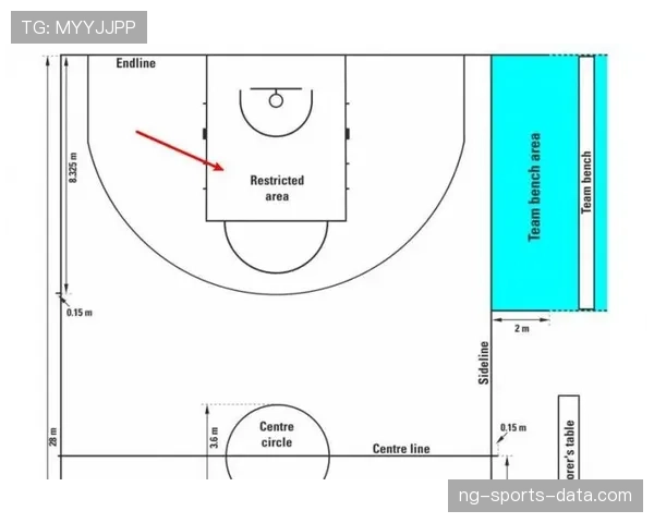 详细解析FIBA和NBA规则区别的具体条款